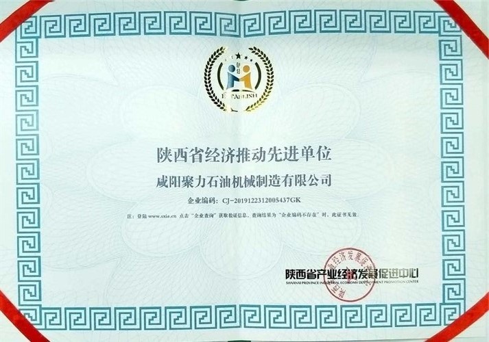 榮獲“陜西省經(jīng)濟推動先進單位”