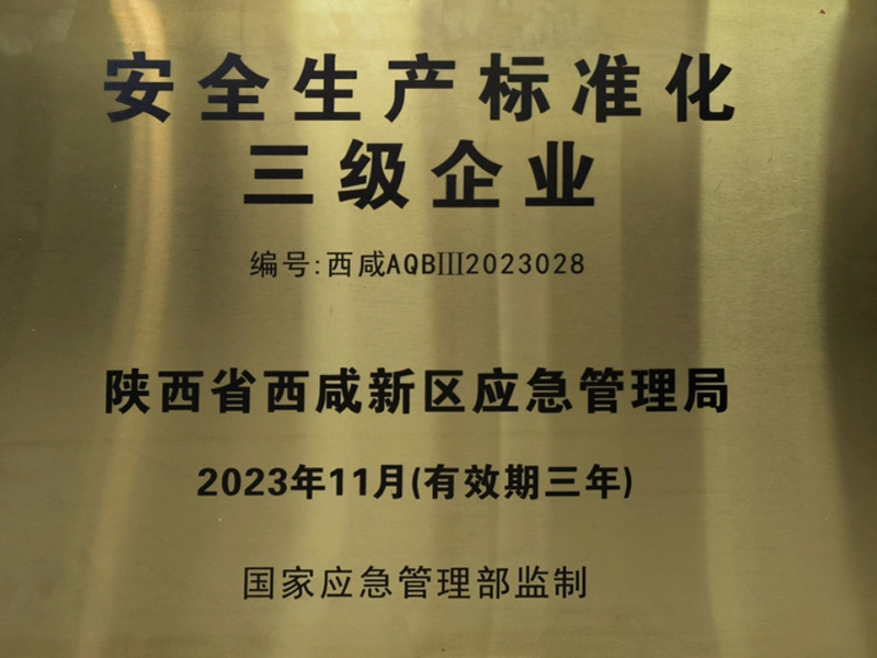 安全生產(chǎn)標(biāo)準(zhǔn)化三級(jí)證書(shū)